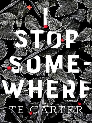 cover image of I Stop Somewhere